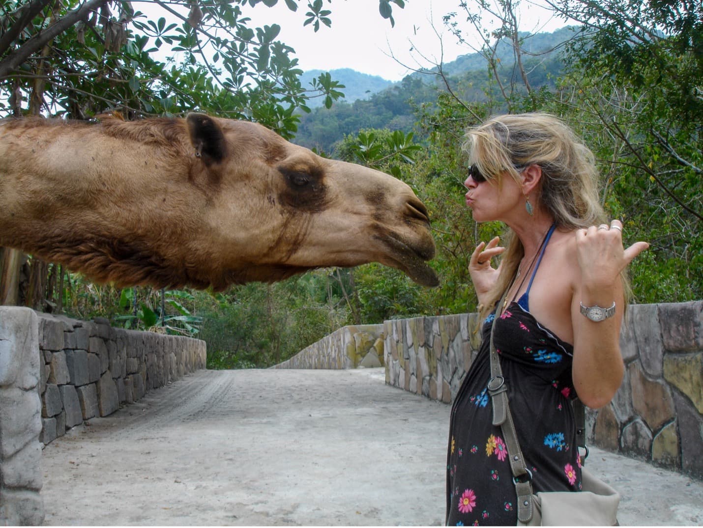 Photo from Lauralyn Eschner